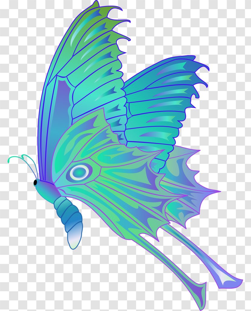 Butterfly Drawing Cabbage White Clip Art - Tail Transparent PNG