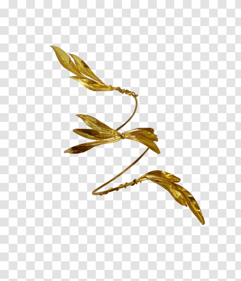 Commodity - Twig - Thyreos Transparent PNG