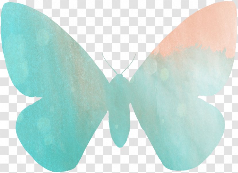 Butterfly Papilio Demoleus Watercolor Painting Battus Philenor Grosesmithi Transparent PNG