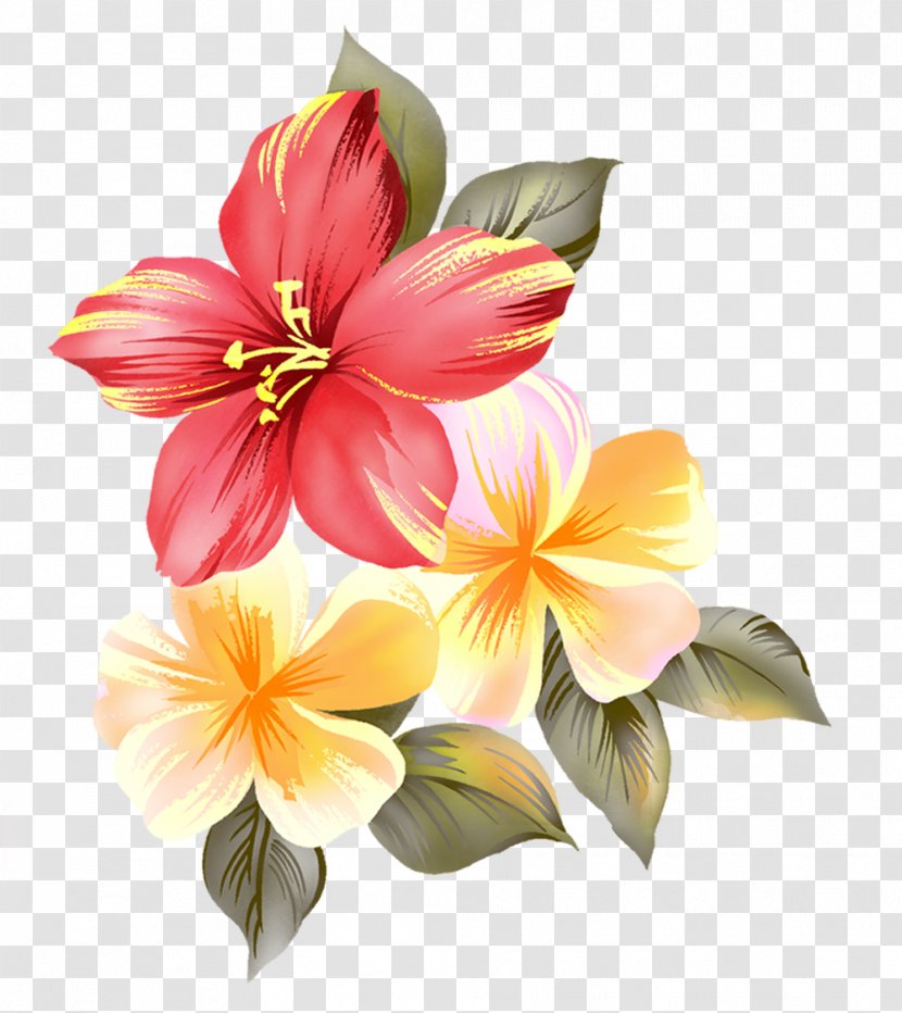 Flower Raster Graphics Clip Art - Mallow Family - Flowers Transparent PNG
