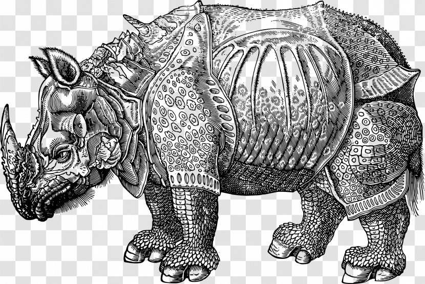 Dürer's Rhinoceros Black Drawing Clip Art - Turtle - Armour Transparent PNG