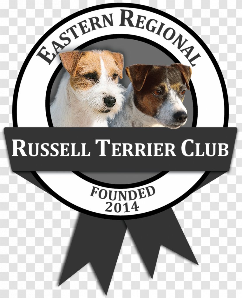 Dog Breed Beagle Puppy Morong 43 - International Life Saving Federation Transparent PNG