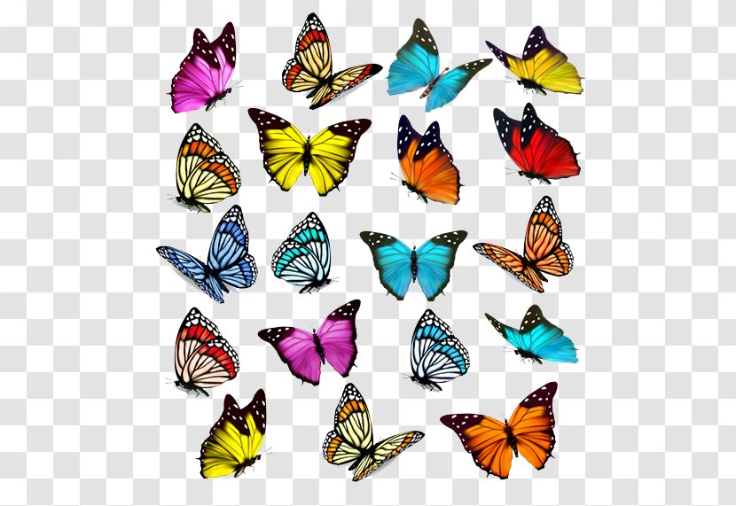 Butterfly Euclidean Vector Illustration - Stock Photography - All Kinds Of Flowers Transparent PNG