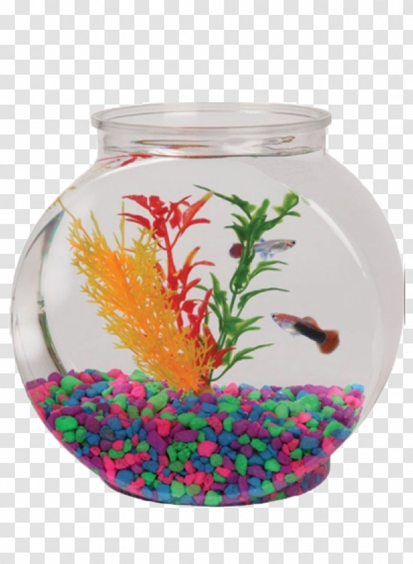 Aquarium Gallon Bowl Fish Plastic - Betta Transparent PNG