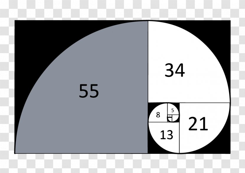 Fibonacci Number Golden Ratio Sequence Spiral Mathematics - Mathematician Transparent PNG