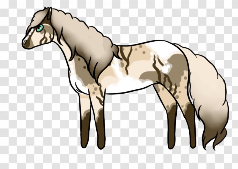 Foal Mane Stallion Mare Colt - Horse - Mustang Transparent PNG