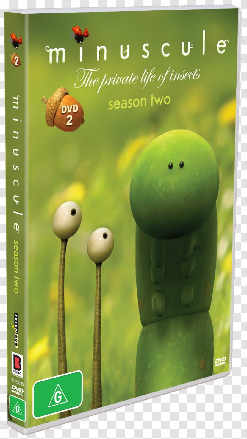 Amazon.com DVD Season Blu-ray Disc Fernsehserie - Grass - Dvd Transparent PNG