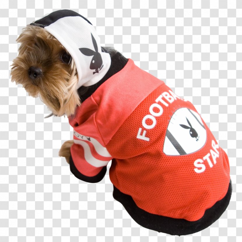 Dog Breed Companion Clothes Snout Transparent PNG