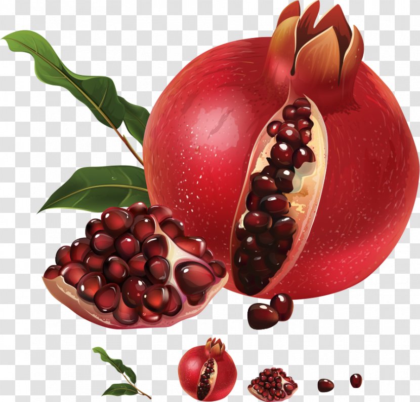 Pomegranate Juice Illustration - Vector Transparent PNG