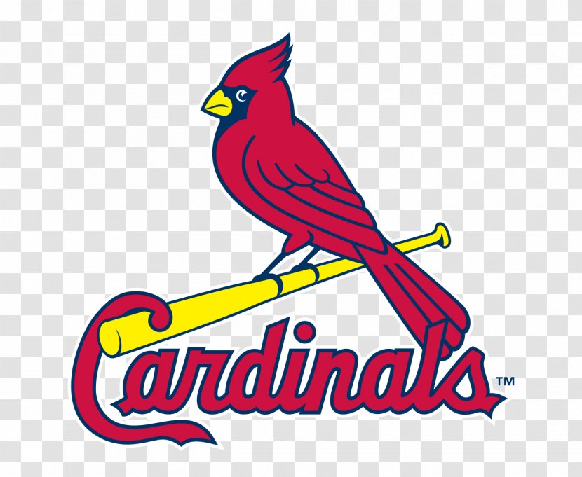 St. Louis Cardinals MLB Busch Stadium Cincinnati Reds Minnesota Twins - National League - Baseball Transparent PNG