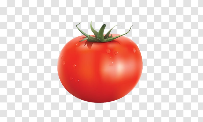 Organic Food Vegetable Tomato Juice - Diet Transparent PNG