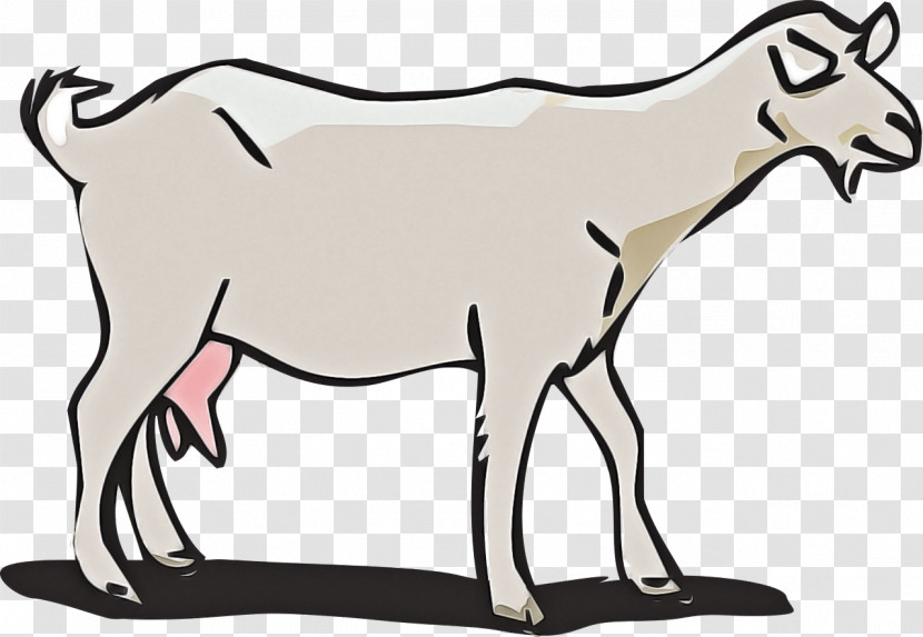 Wildlife Line Art Animal Figure Cow-goat Family Antelope Transparent PNG