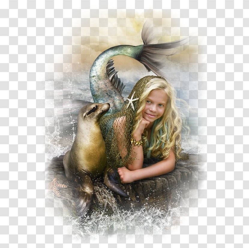 Mermaid Art Fairy Fantasy - Silhouette - Siren Transparent PNG