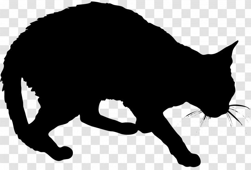 Black Cat Kitten Whiskers Domestic Short-haired Wildcat - And White - Vector Logo Transparent PNG