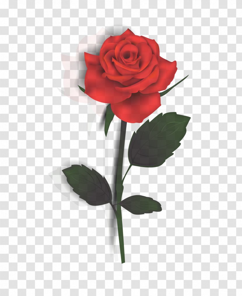 Rose - Valentines Day - Flower Arranging Transparent PNG