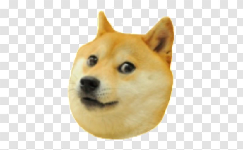 Shiba Inu 0 Star Doge: Weird Game T-shirt - Akita - Doge Transparent PNG