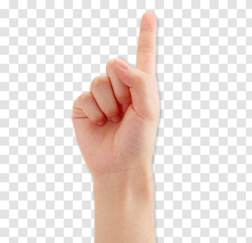 Thumb Hand Index Finger Digit - Female Fingers Pointing Upwards Transparent PNG