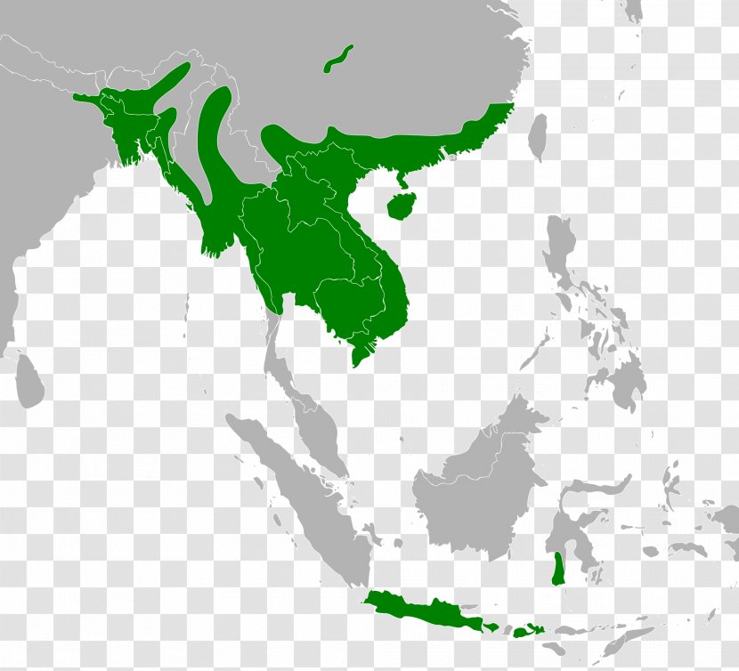 Association Of Southeast Asian Nations Asia-Pacific Singapore Open Skies ASEAN–China Free Trade Area - Green - Burmese Python Transparent PNG