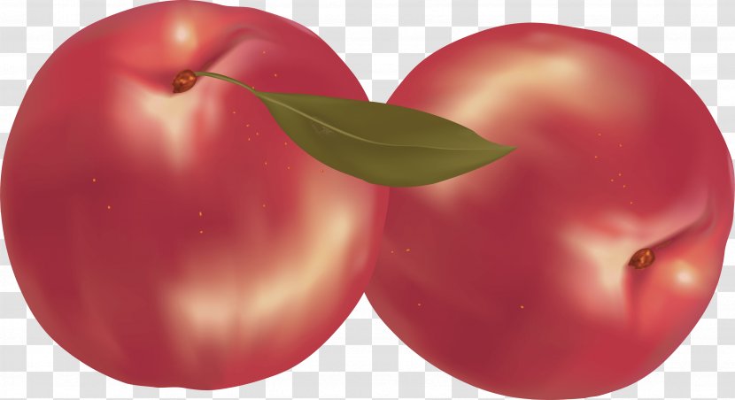 Fruit Nectarine Clip Art - Peach - Image Transparent PNG
