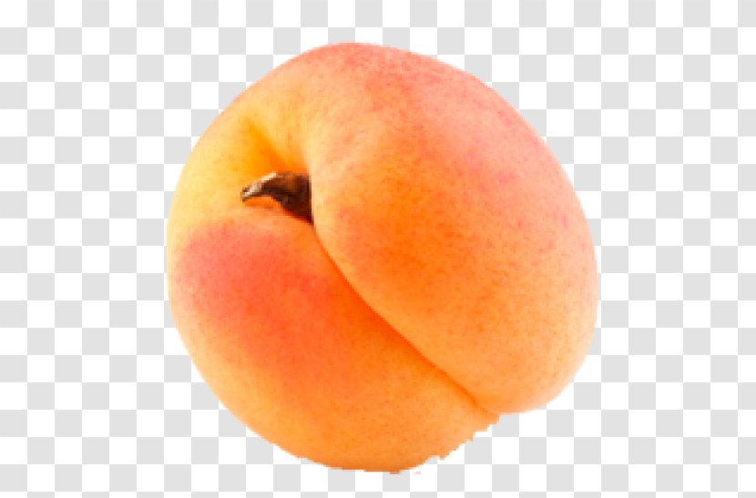 Peach Clementine Mandarin Orange Fruit Armenian Plum - Citrus Transparent PNG