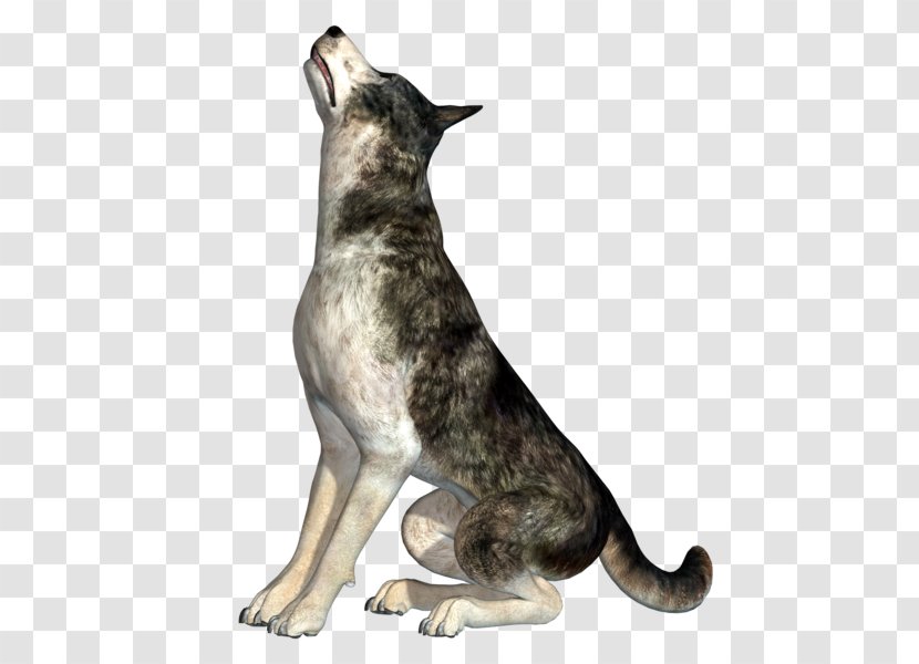 Dog Breed Group (dog) Painting - Tail Transparent PNG