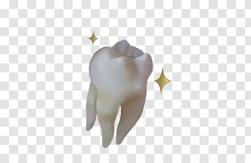 Tooth - Watercolor - Wisdom Transparent PNG