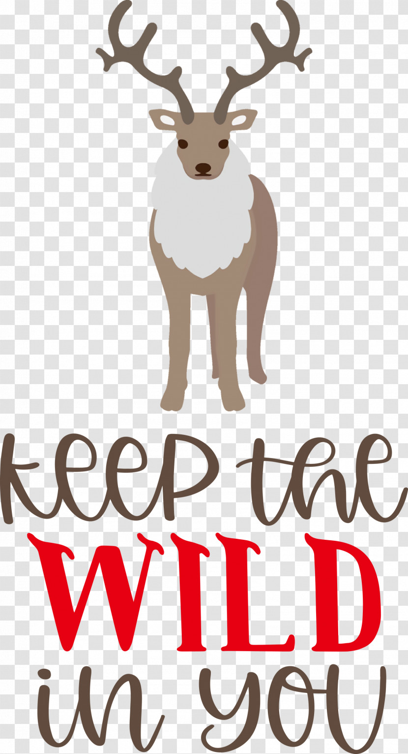 Keep Wild Deer Transparent PNG