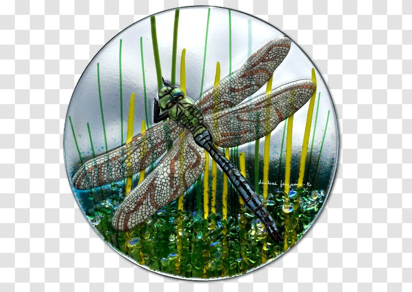 Fused Glass Insect Dragonfly Kiln - Hand Painted Transparent PNG