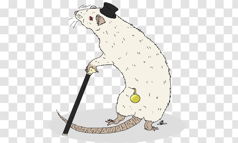 Rat Mouse Whiskers Beaver Hare - Rabbit Transparent PNG