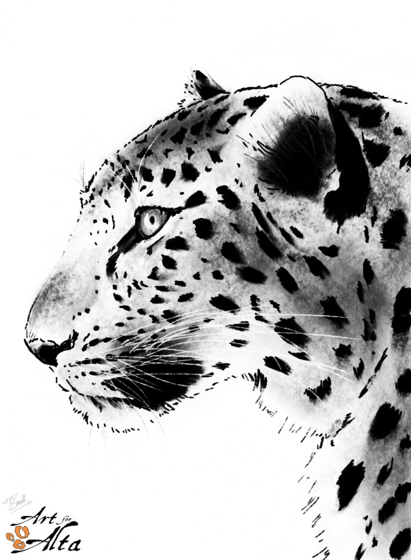 Tiger Amur Leopard Snow River Cheetah - Organism Transparent PNG