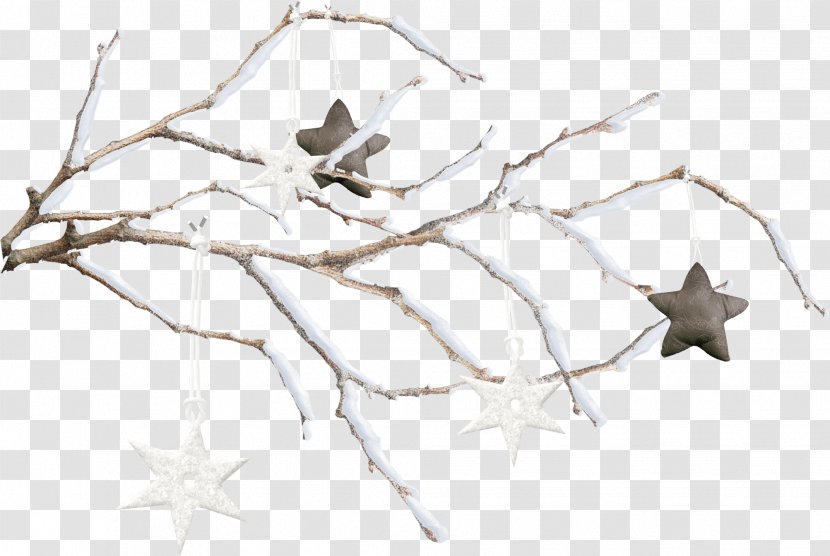 Twig Snowflake Branch - Tree - Snow Transparent PNG