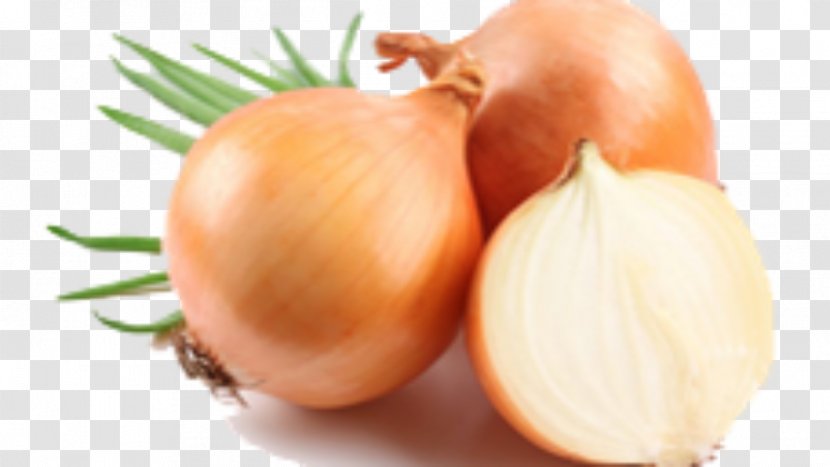 Onion Organic Food Health Vegetable - Honey Transparent PNG