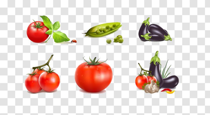 Chili Con Carne Vegetable Tomato Icon - Vegetarian Food - And Eggplant Transparent PNG