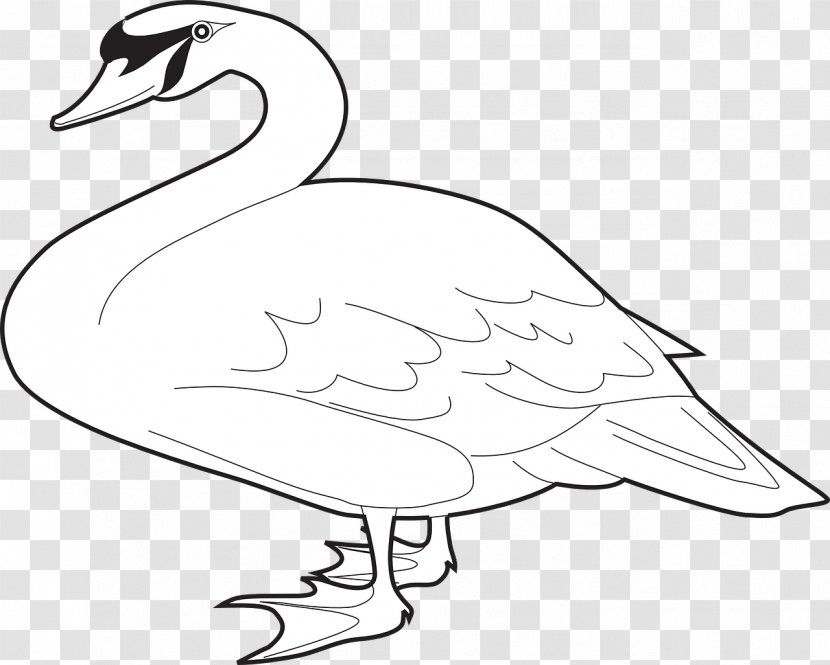 Domestic Goose Cygnini Bird Clip Art - Vertebrate - White Transparent PNG