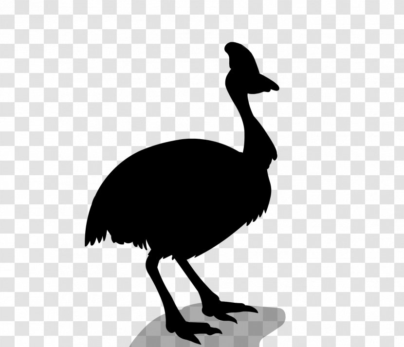 Common Ostrich Bird Emu Sticker Goose - Tail Transparent PNG