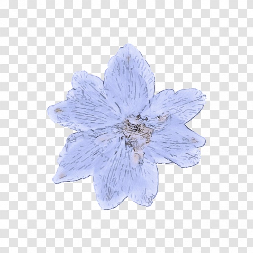 Blue Petal Flower Violet Plant - Bellflower - Flowering Transparent PNG
