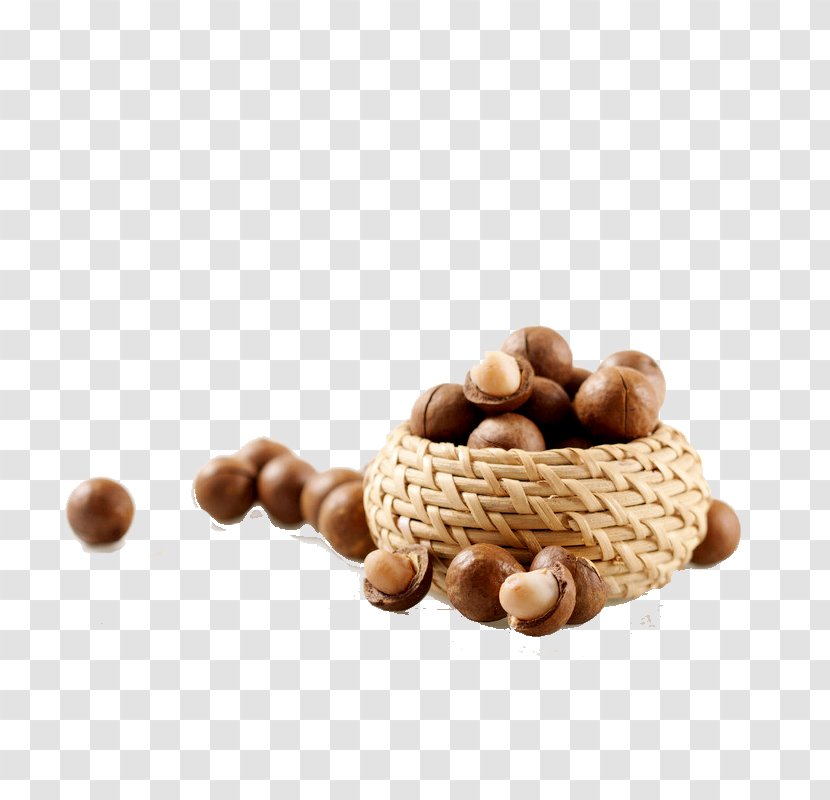 Macadamia Nut Fruit - Tree Nuts - Walnut Transparent PNG