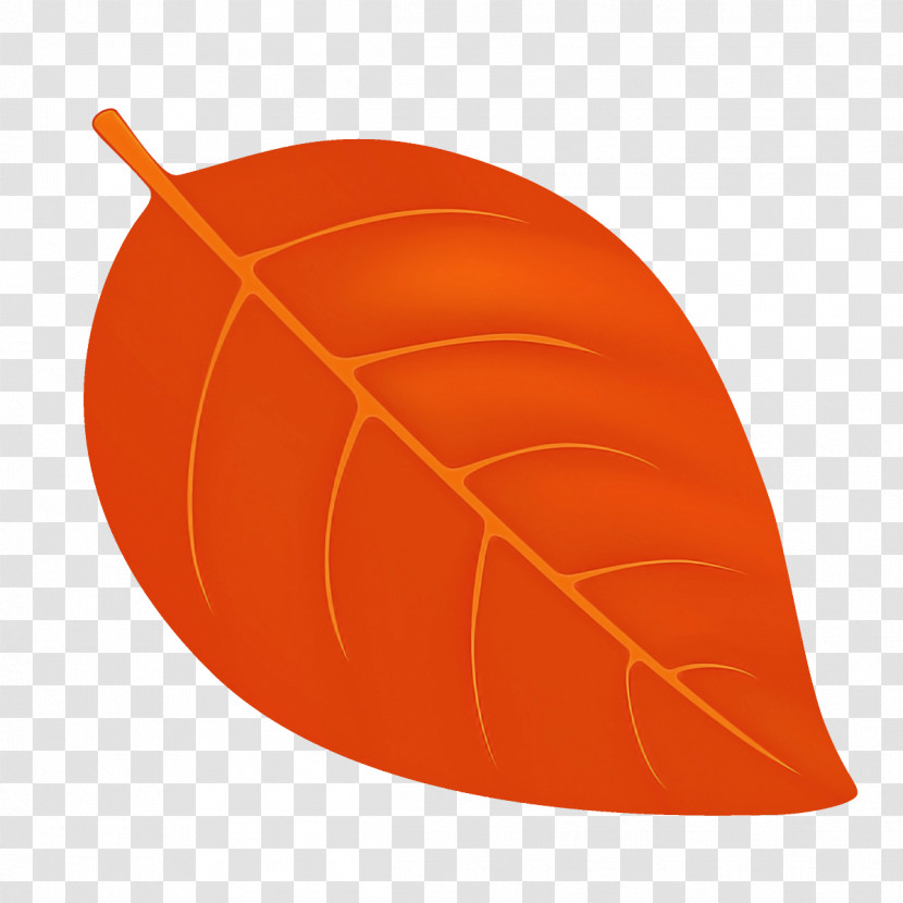 Orange Transparent PNG