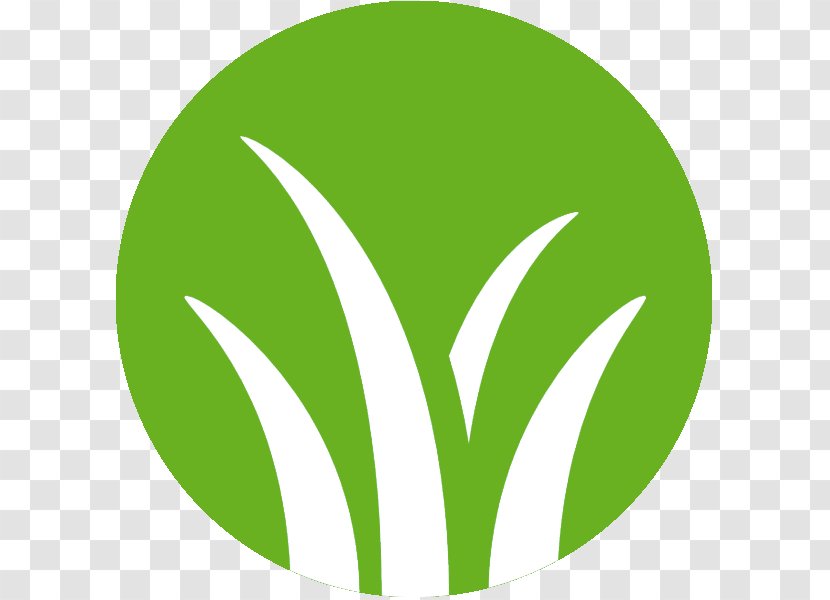 Corporate Social Responsibility Sustainable Development Logo Enjeu - Grass - News Transparent PNG