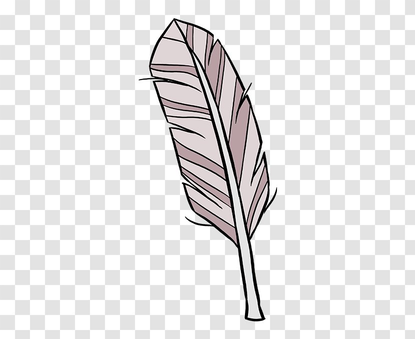 Drawing Image Quill Feather Line Art Transparent PNG