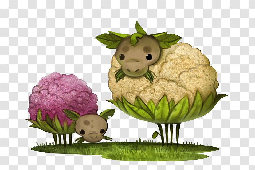 Cauliflower Cartoon Drawing Vegetable - Cooking - Design Transparent PNG