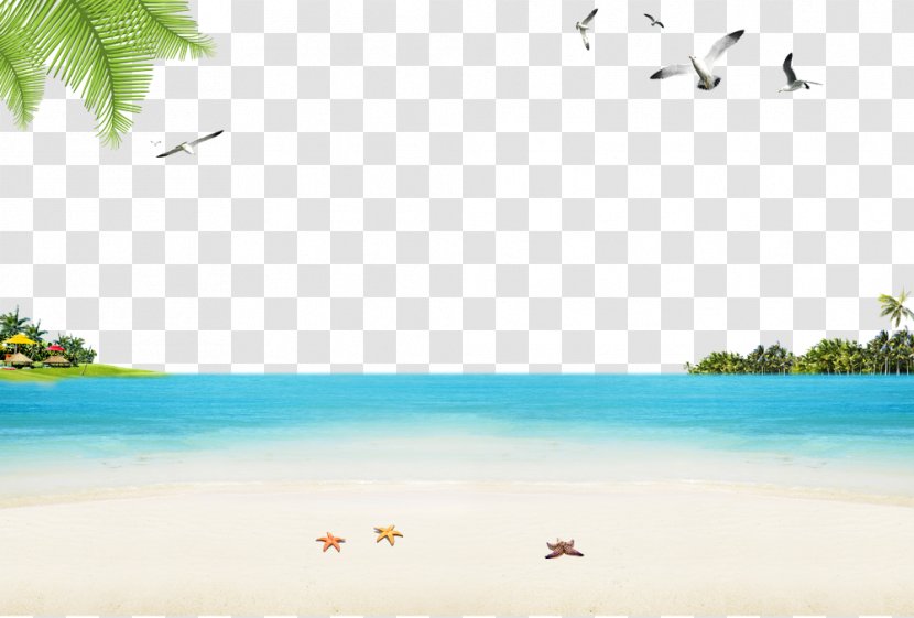 Sandy Beach Ocean - Tree - Seaside Transparent PNG