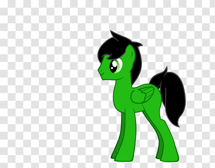 Pony Cat Thomas Henry Horse Transparent PNG