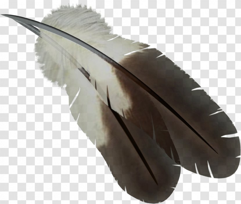 Feathers - Internet Media Type - Digital Image Transparent PNG