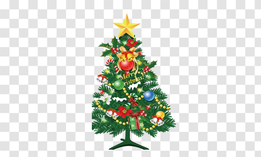 Christmas Tree Adobe Illustrator - Pine Family Transparent PNG