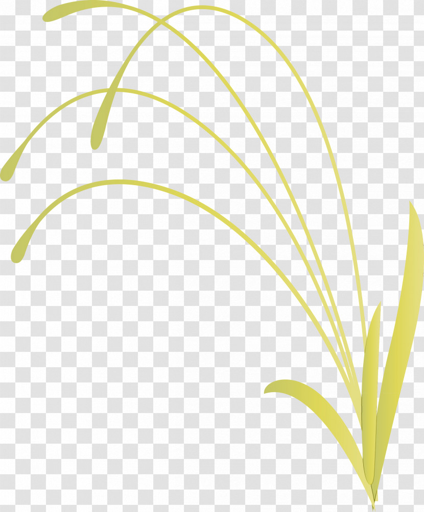 Leaf Plant Line Flower Transparent PNG