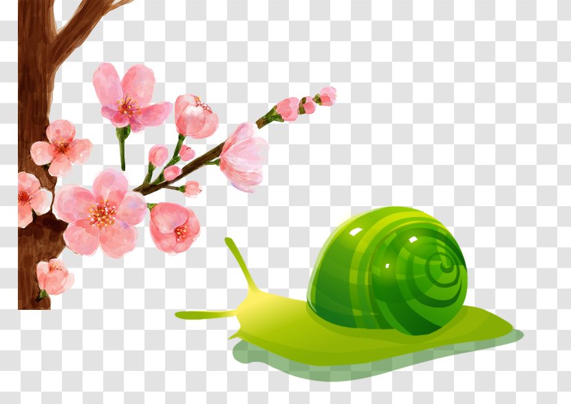 South Korea Cherry Blossom Infographic Information Festival - Green - Snails And Plum Transparent PNG