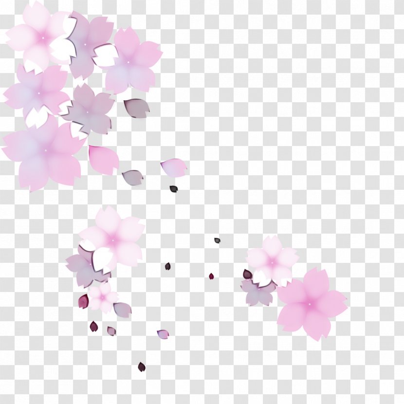 Cherry Blossom - Watercolor - Branch Plant Transparent PNG