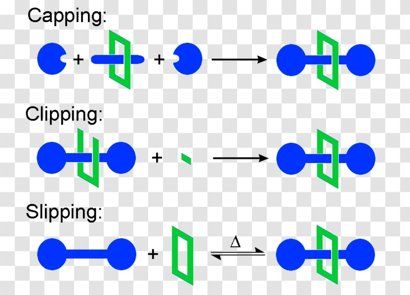 Rotaxane Chemical Synthesis Molecular Electronics Wheel And Axle Technology - Miniaturization - Methods Transparent PNG