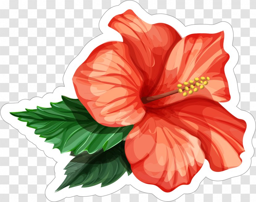 Vector Graphics Rosemallows Illustration Drawing - Hibiscus - Three Black Red Flower Transparent PNG